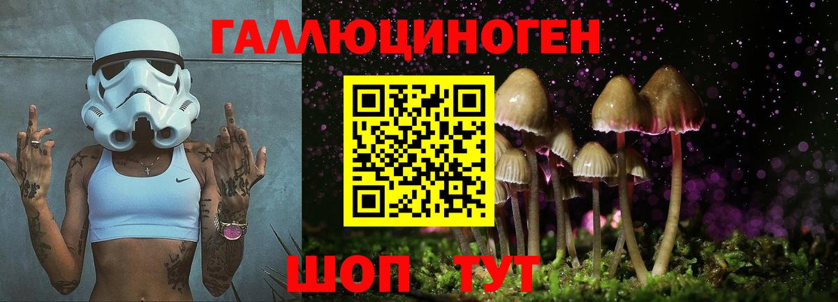 Зима  Псилоцибиновые грибы Psilocybine cubensis  Вход с VPN 
